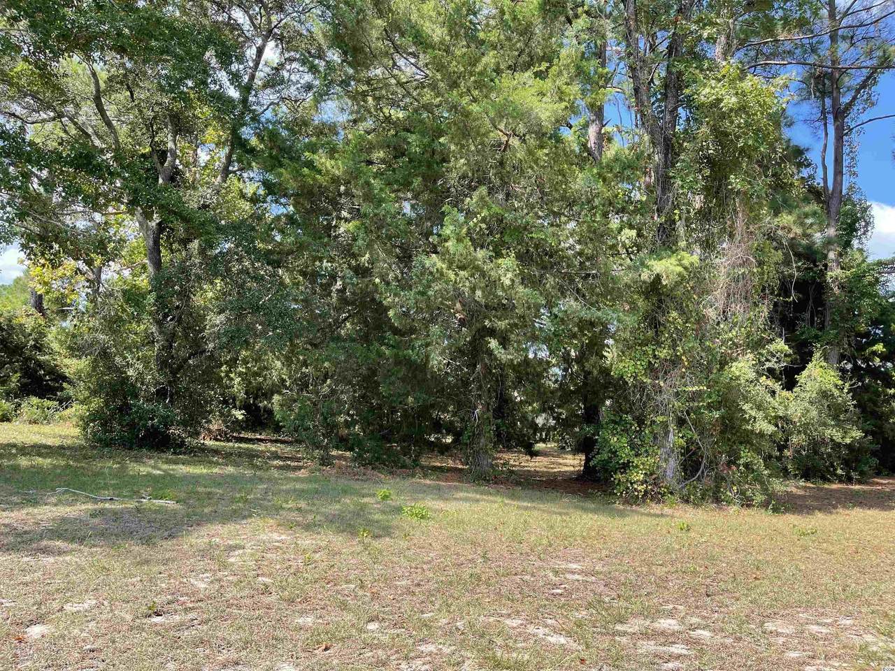 1573 Pachino Dr. - Photo 1