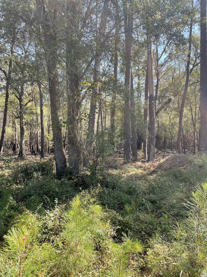 1093 Caines Landing Rd. - Photo 1