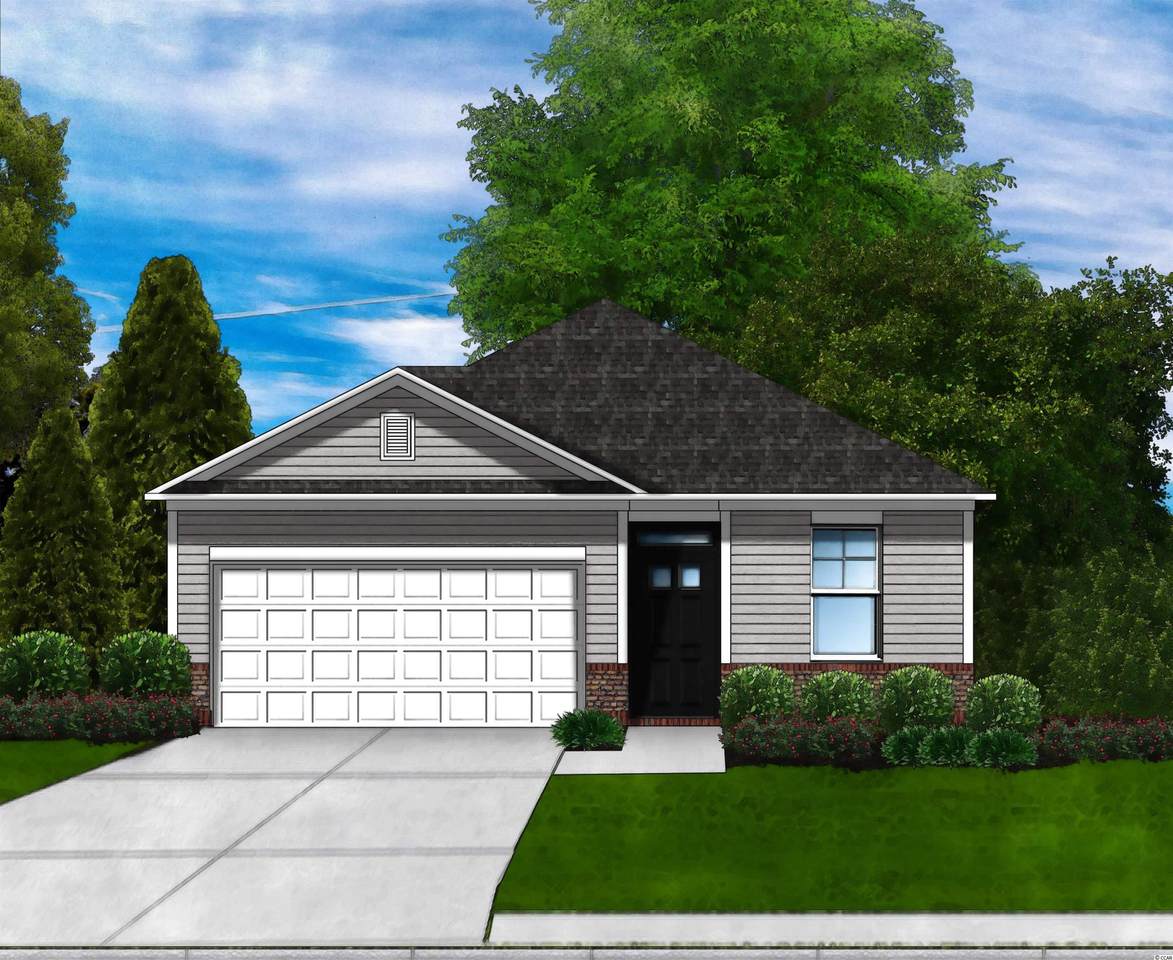220 Red Maple Loop - Photo 1