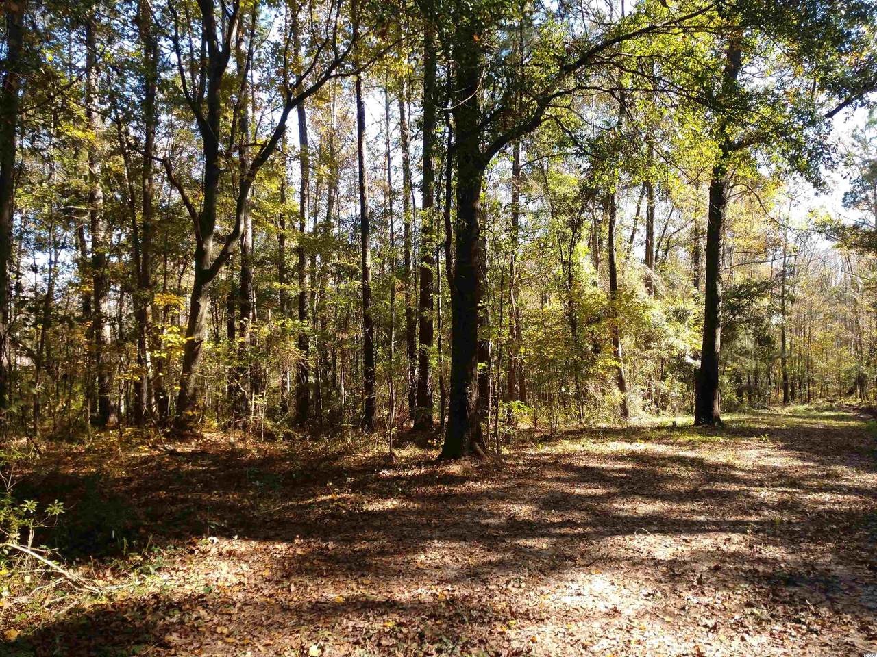 TBD Ole Lee Dr. - Photo 1