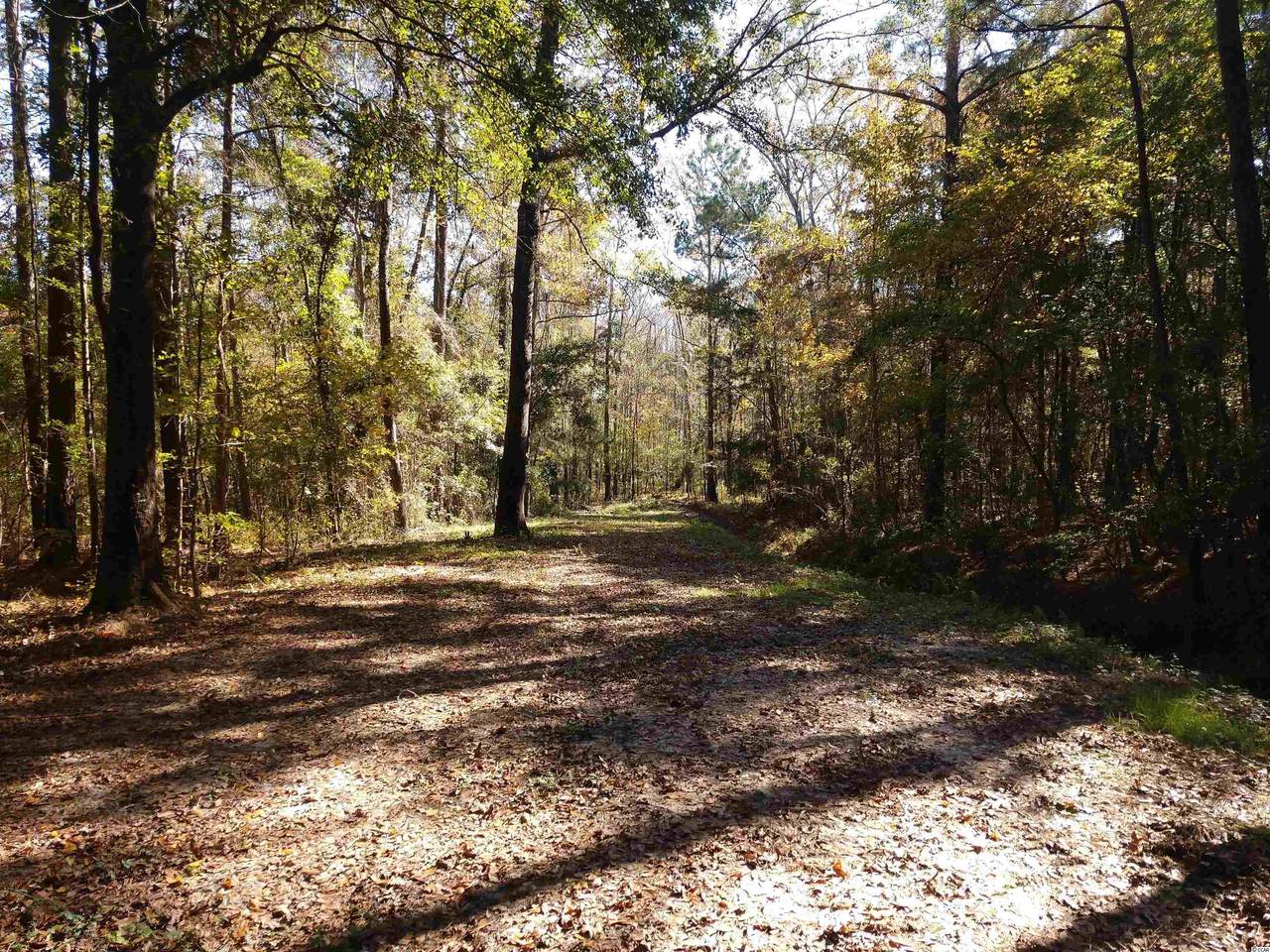 TBD Ole Lee Dr. - Photo 1