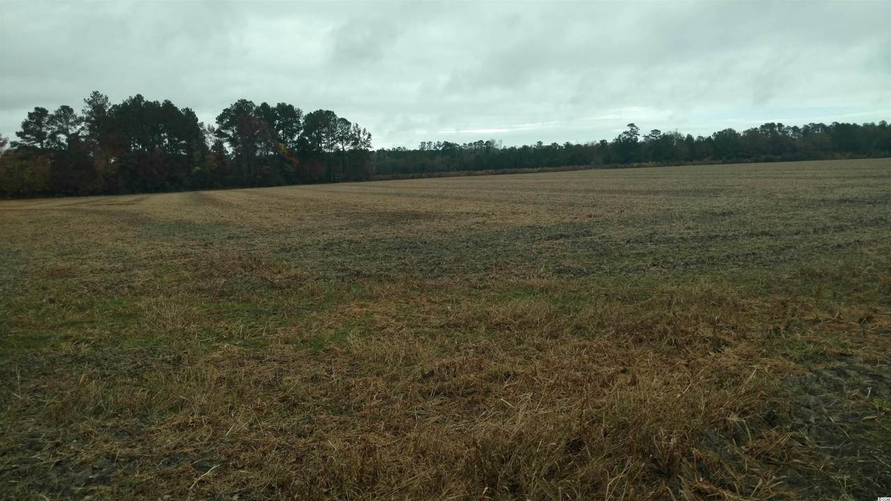 1281 Marlowe Rd. - Photo 1