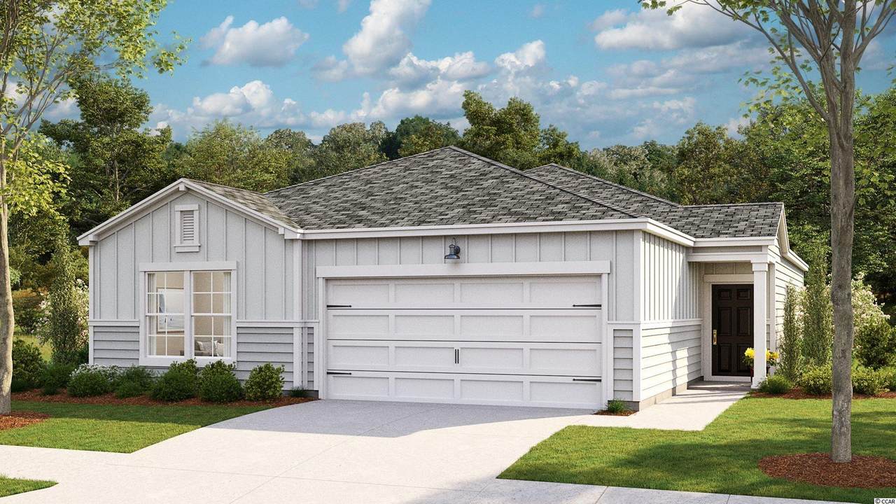 800 Dusty Pine Way - Photo 1