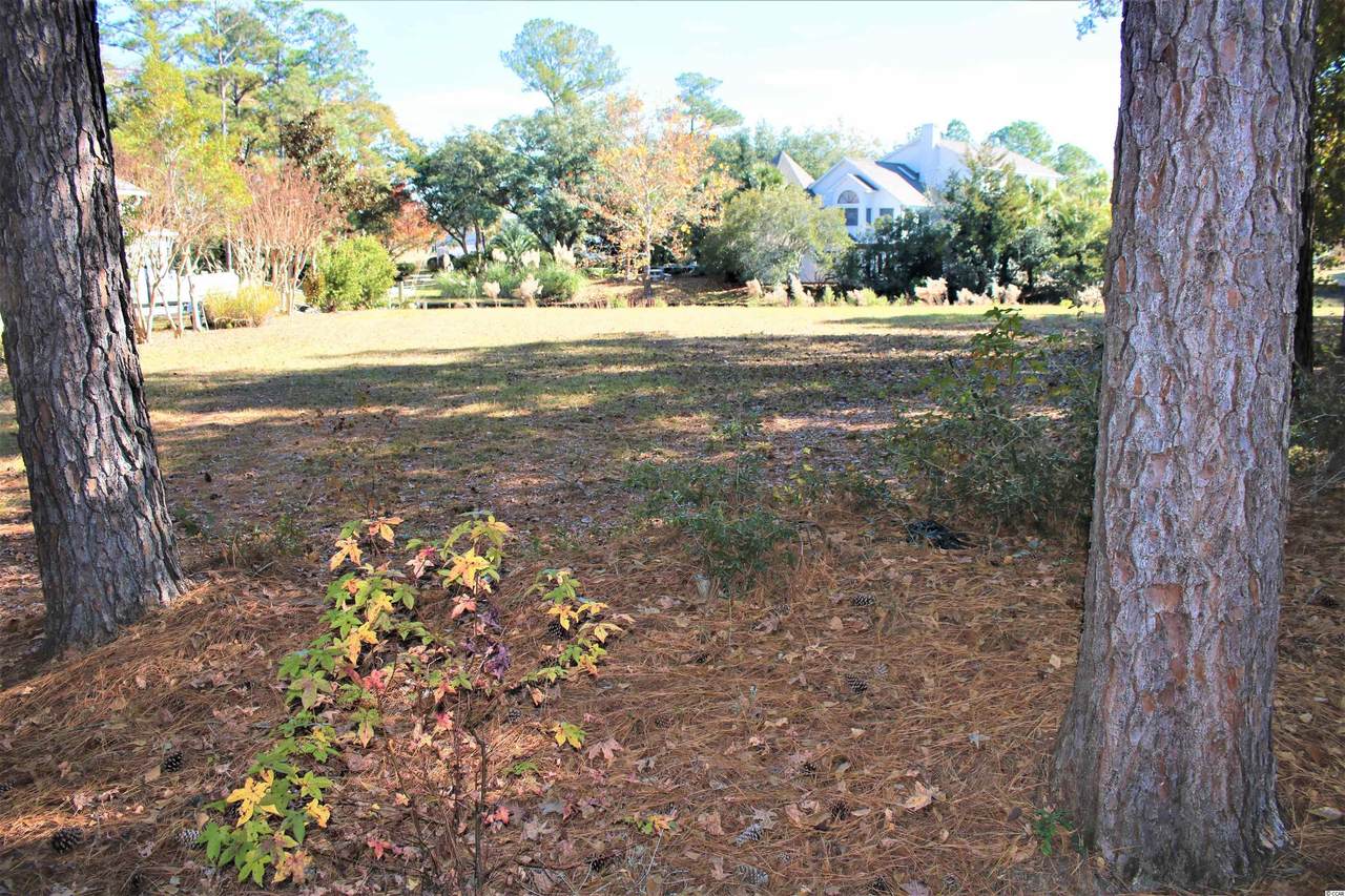 142 William Screven St. - Photo 1