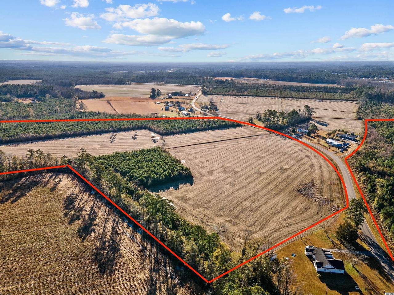 48.2 acres Fowler Rd. - Photo 1