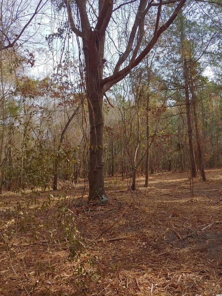 Lot 1 Valley Forge Rd. - Photo 1