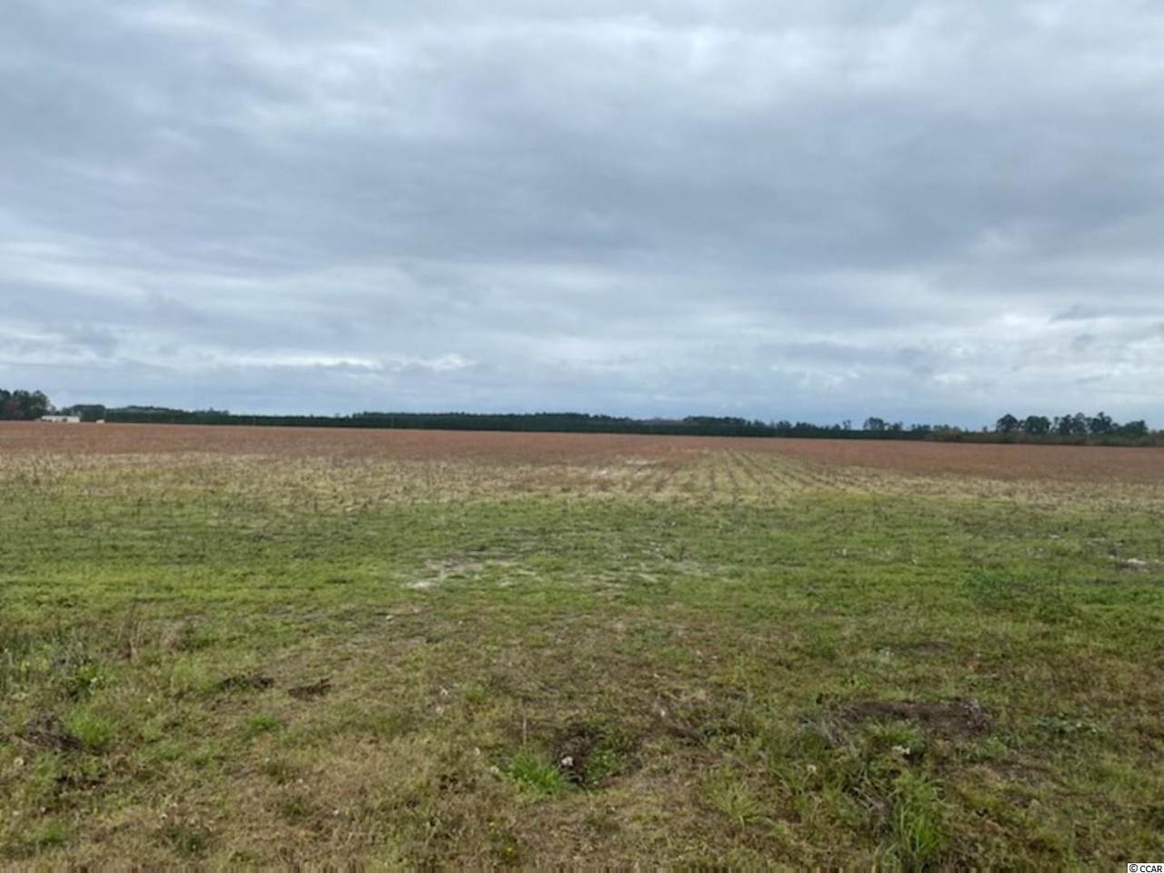 TBD Persimmon Rd. - Photo 1