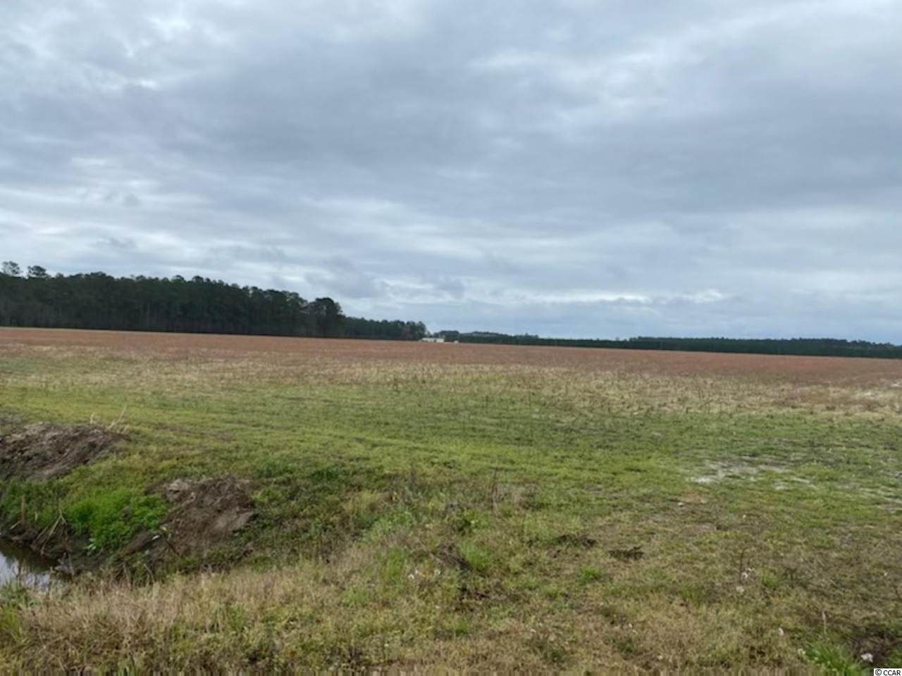 TBD Persimmon Rd. - Photo 1