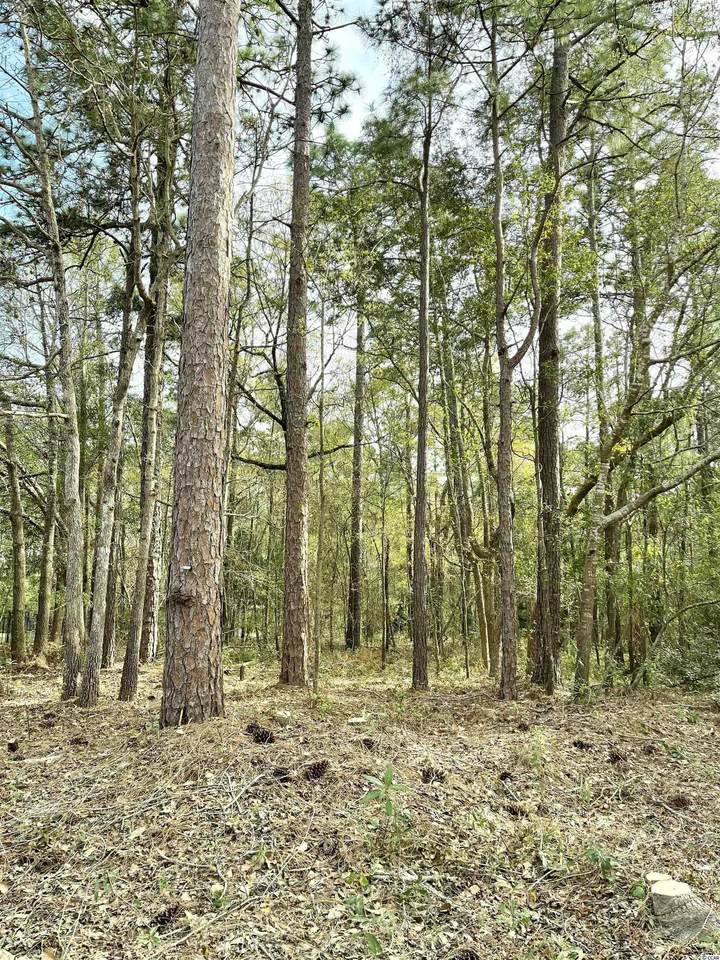 Lot 66 Preservation Circle - Photo 1