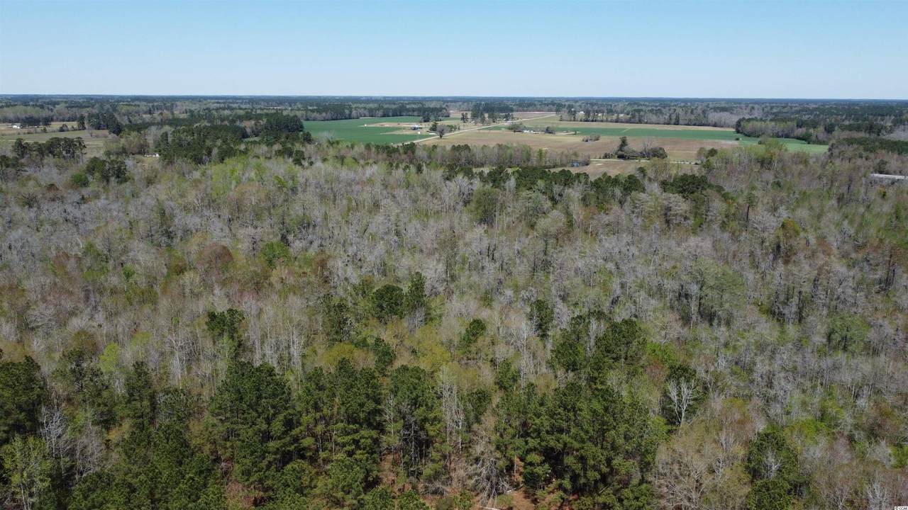 Lot D2 Colorado Ranch Rd. - Photo 1