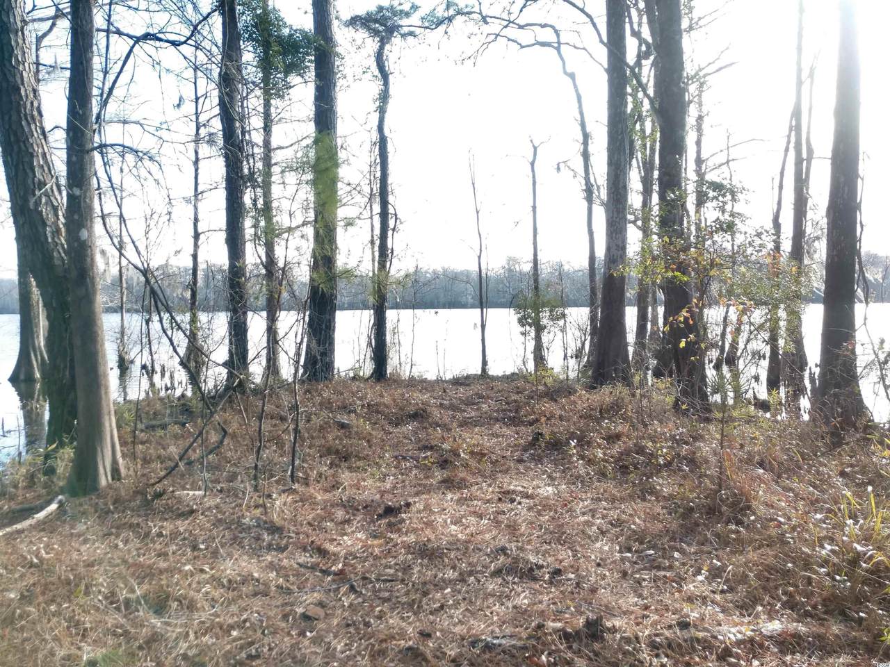 8899 Henrietta Bluff Rd. - Photo 1