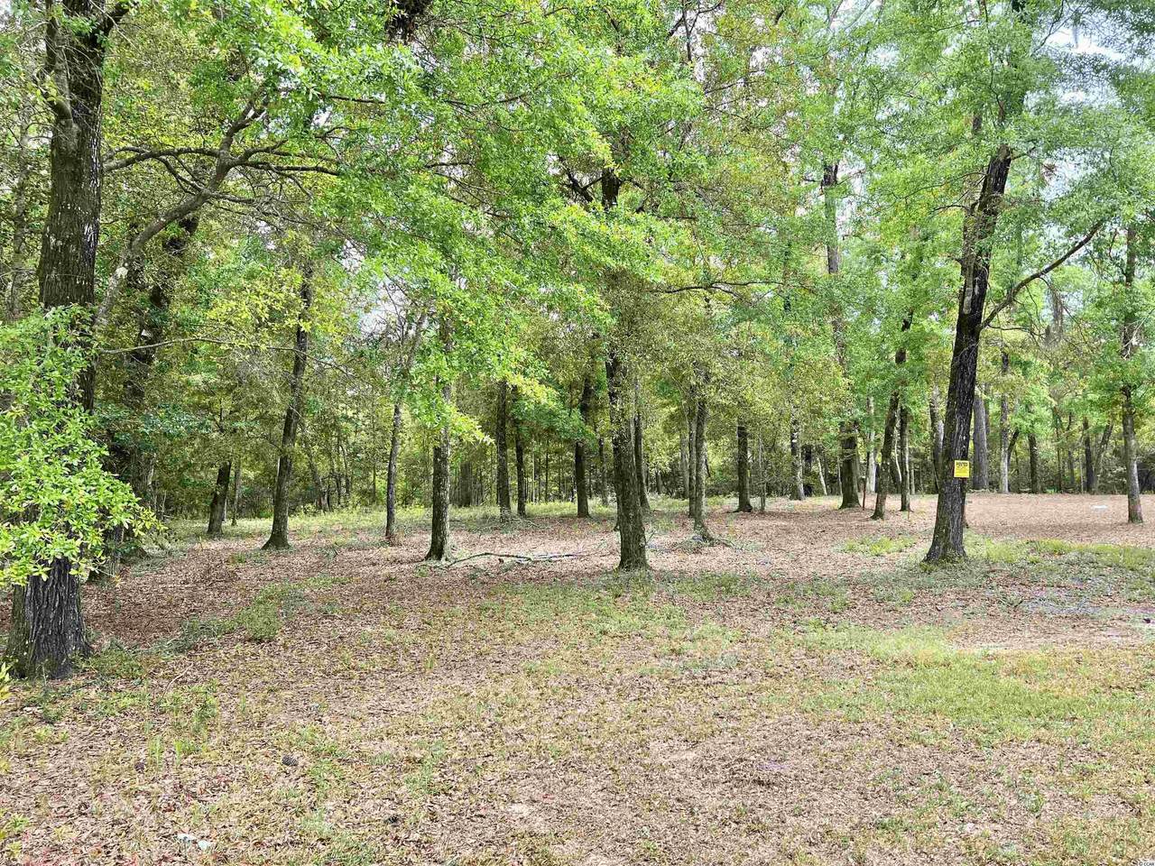 Lot 12 Old Cypress Circle - Photo 1