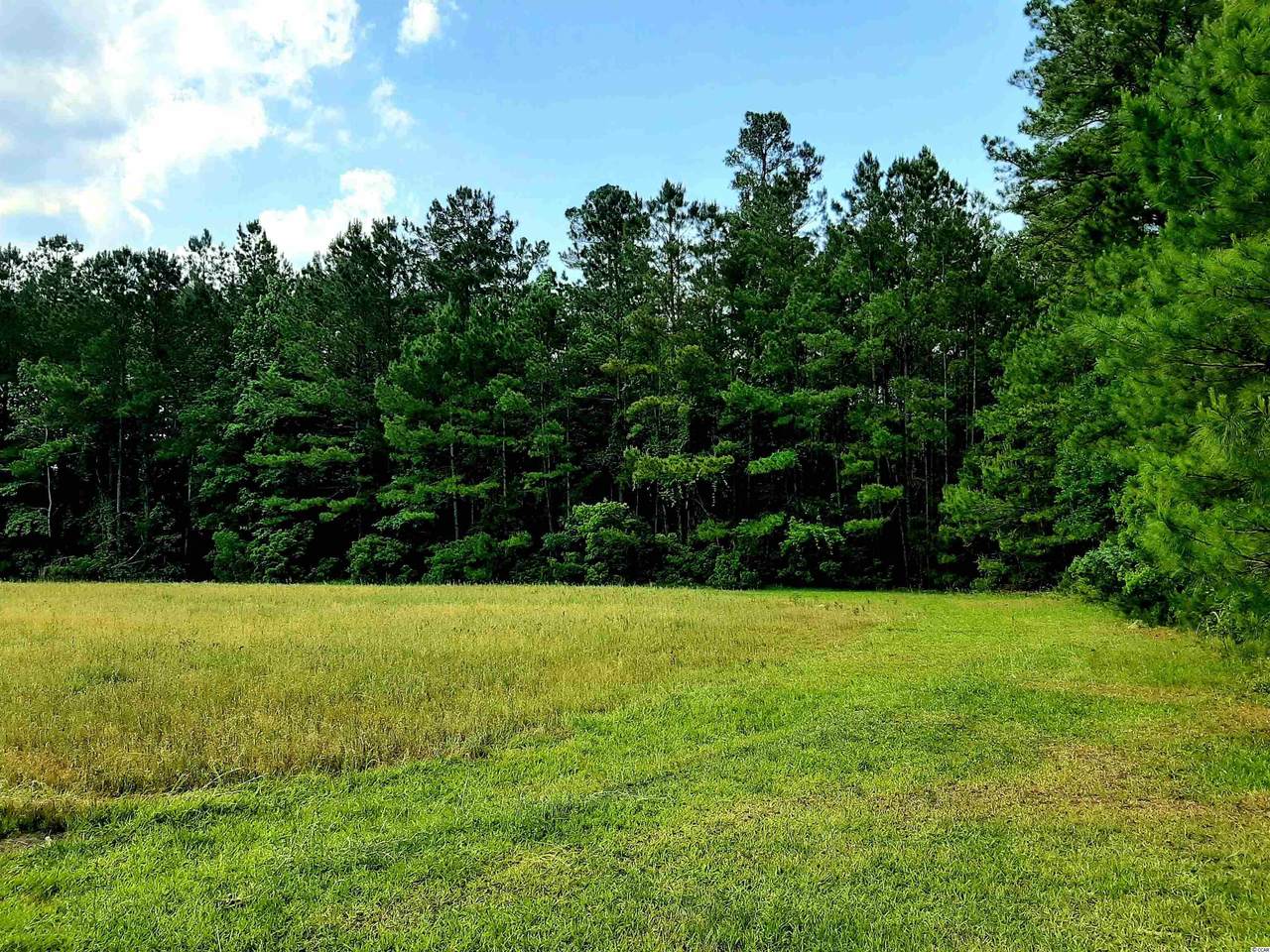 TBD Saints Delight Rd. - Photo 1