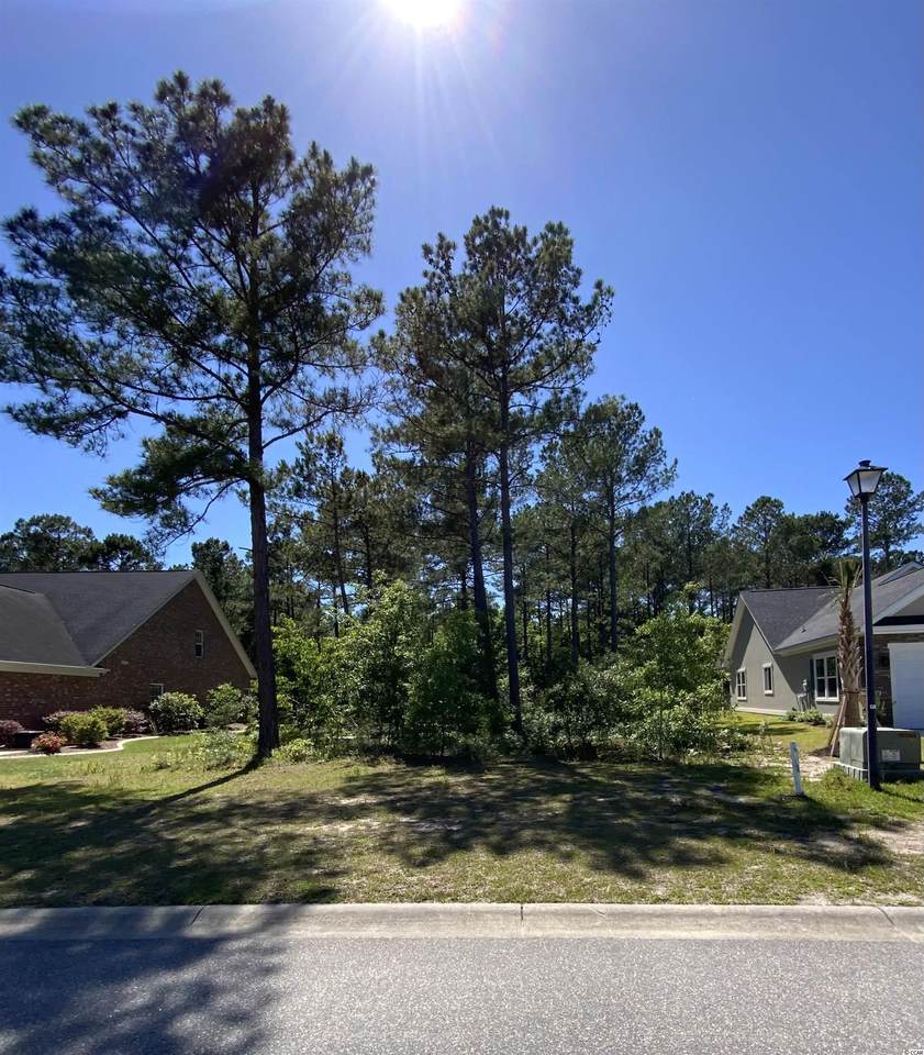 916 Henry James Dr. - Photo 1