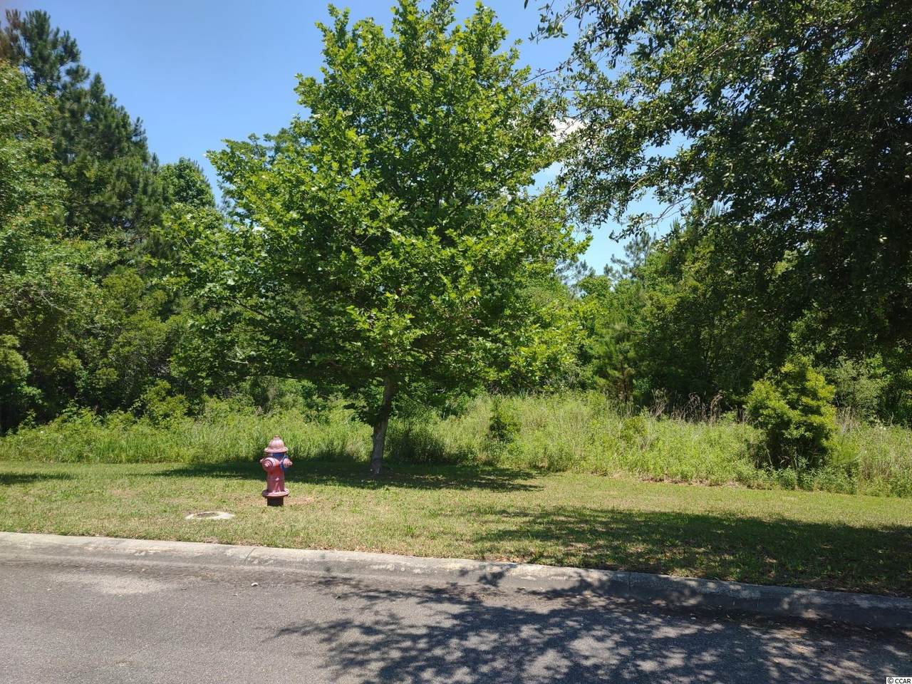 309 Lagrange Rd. - Photo 1