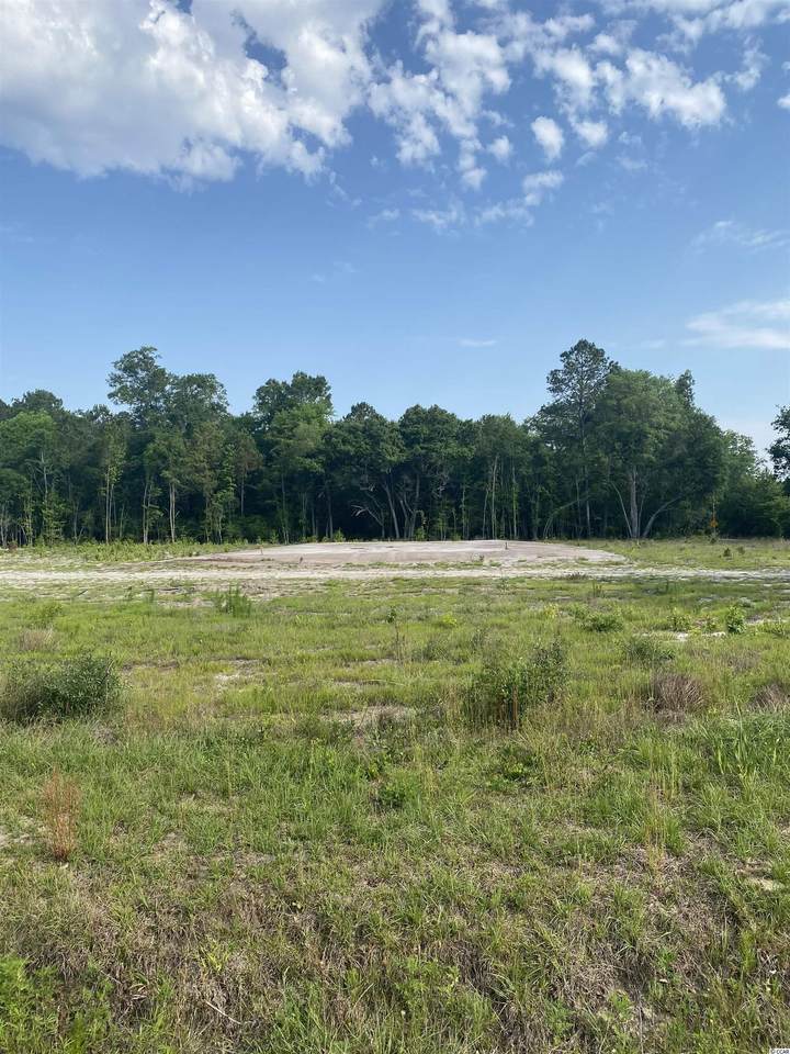 4503 Highway 905 - Photo 1
