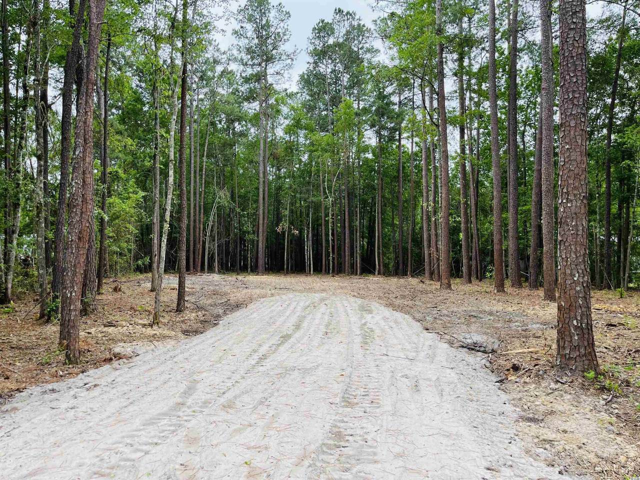TBD Holly Hock Rd. - Photo 1