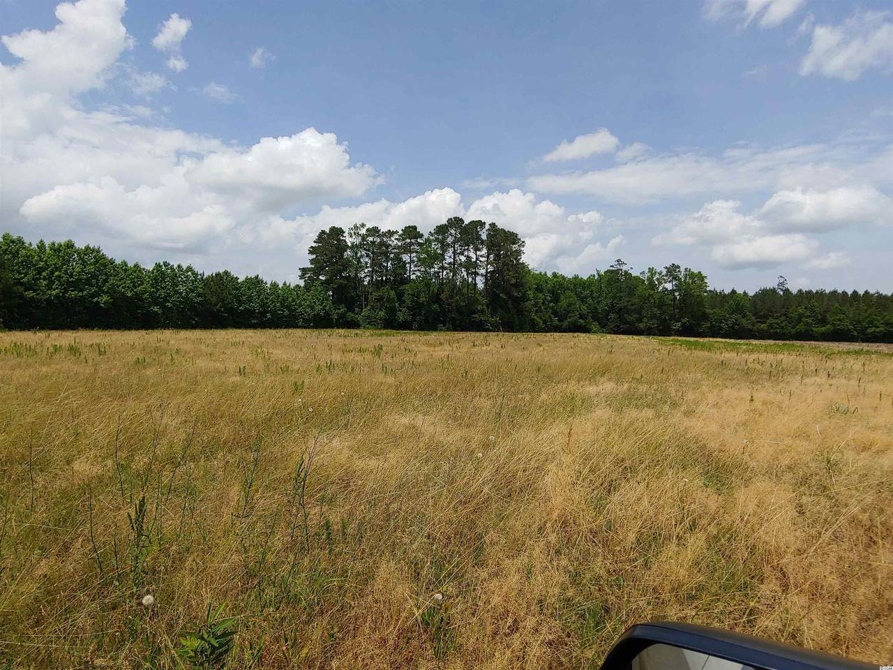 Lot 1 Hagan Rd. - Photo 1