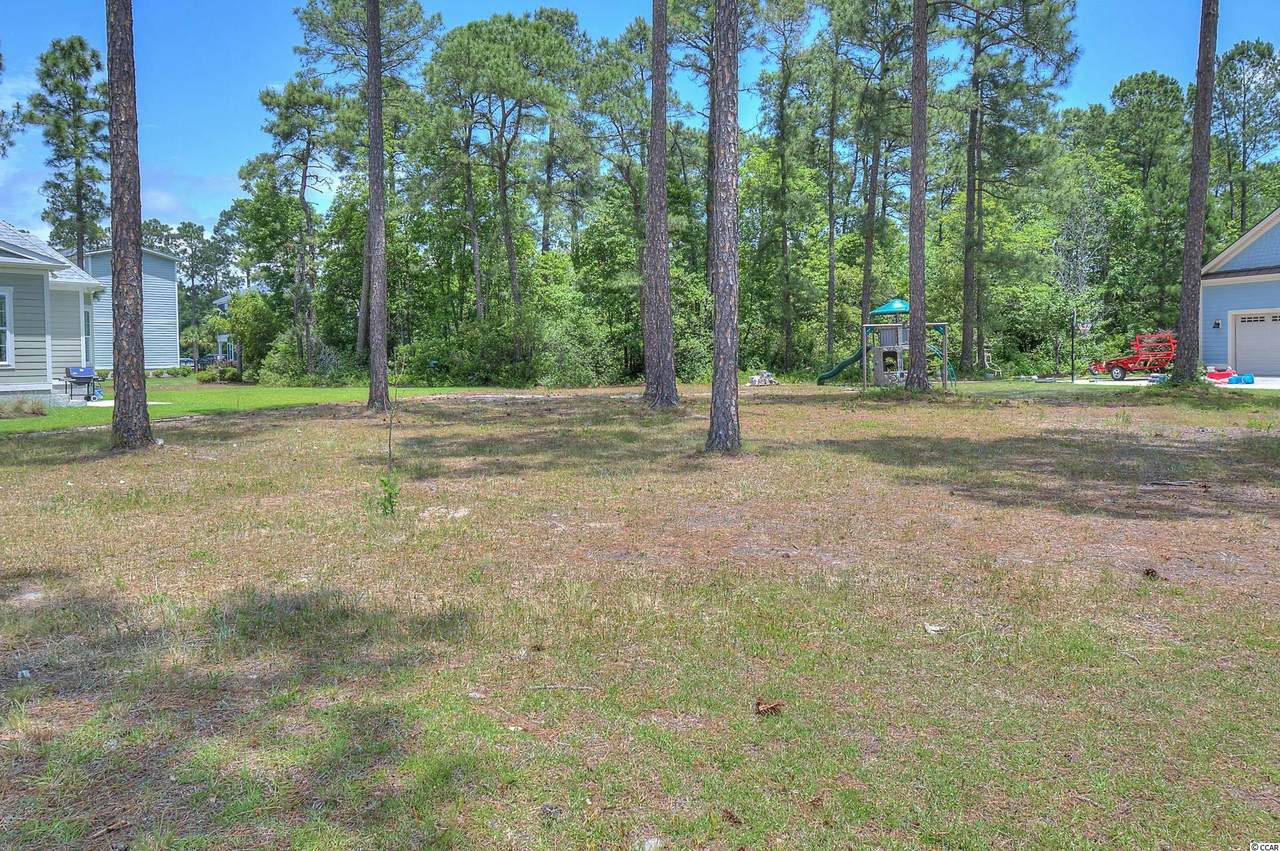 1058 Fiddlehead Way - Photo 1