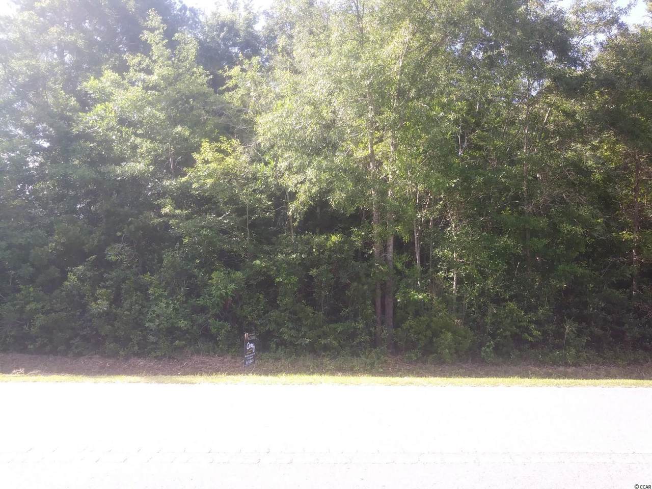 TBD Hughes Gasque Rd. - Photo 1