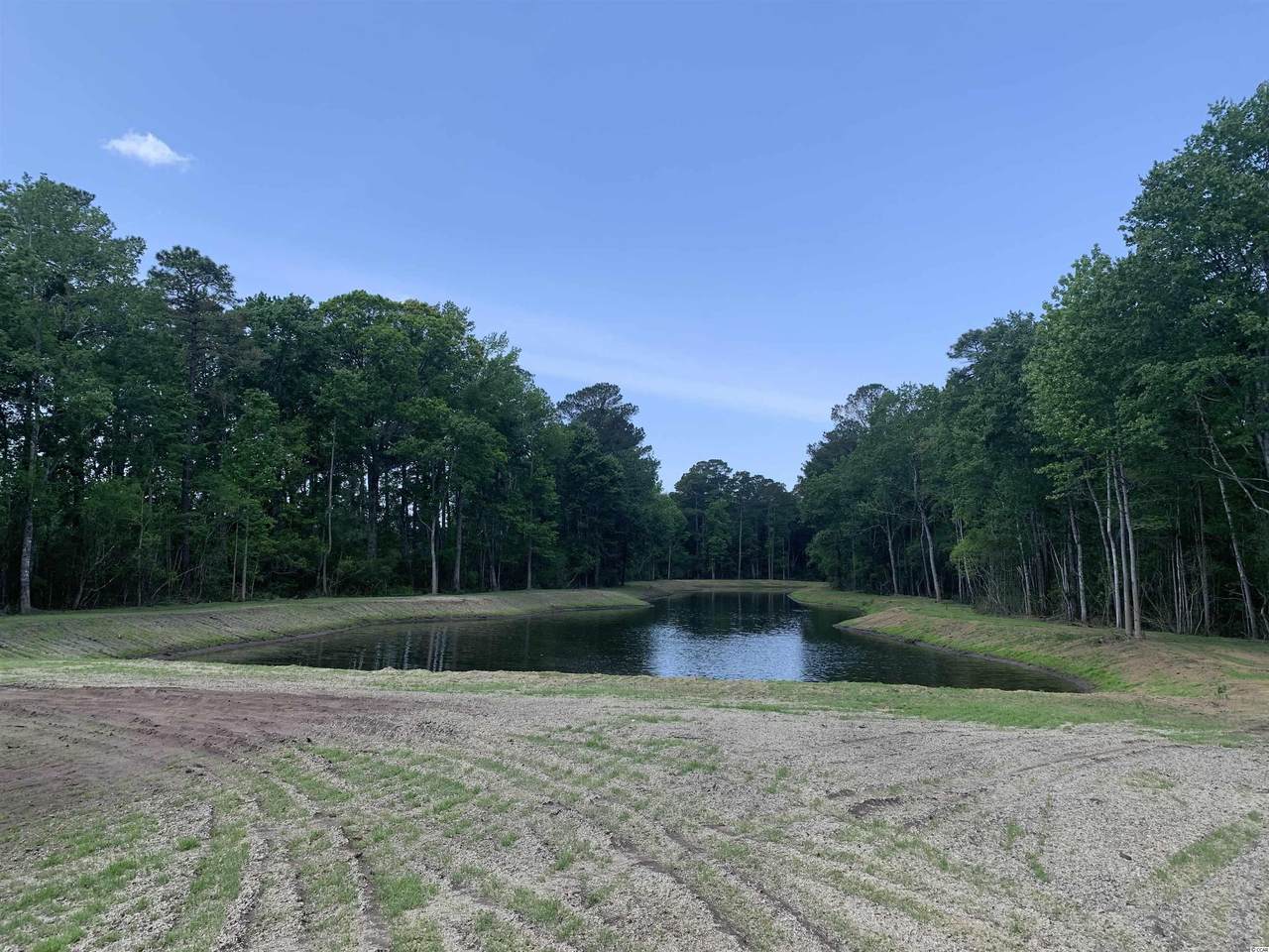 3139 Moss Bridge Ln. - Photo 1