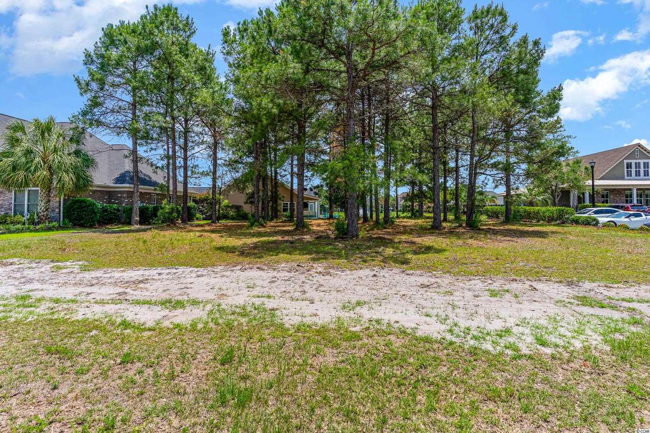 699 Uniola Dr. - Photo 1