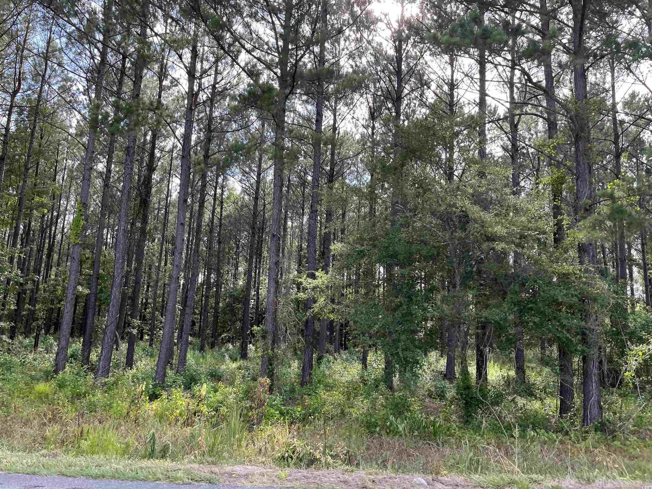 TBD 3.64 AC Nichols Hwy. - Photo 1