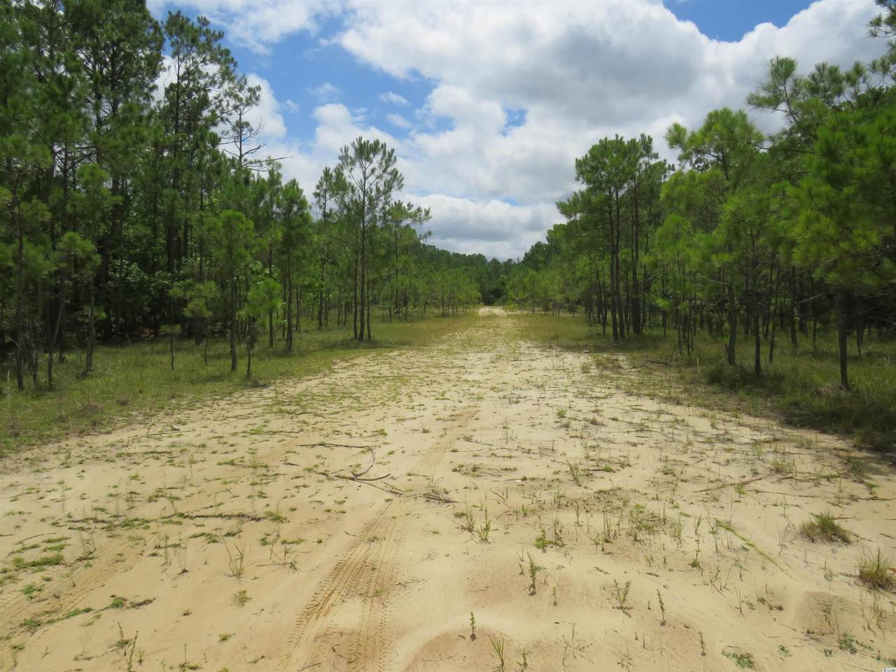 T.B.D. Eva Rd. - Photo 1