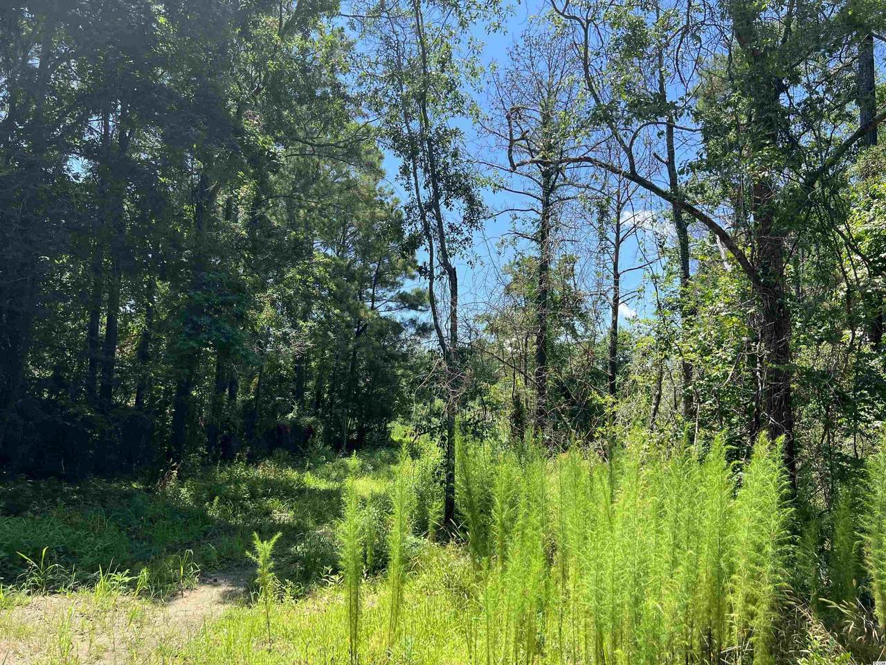 287 Black Gum Rd. - Photo 1