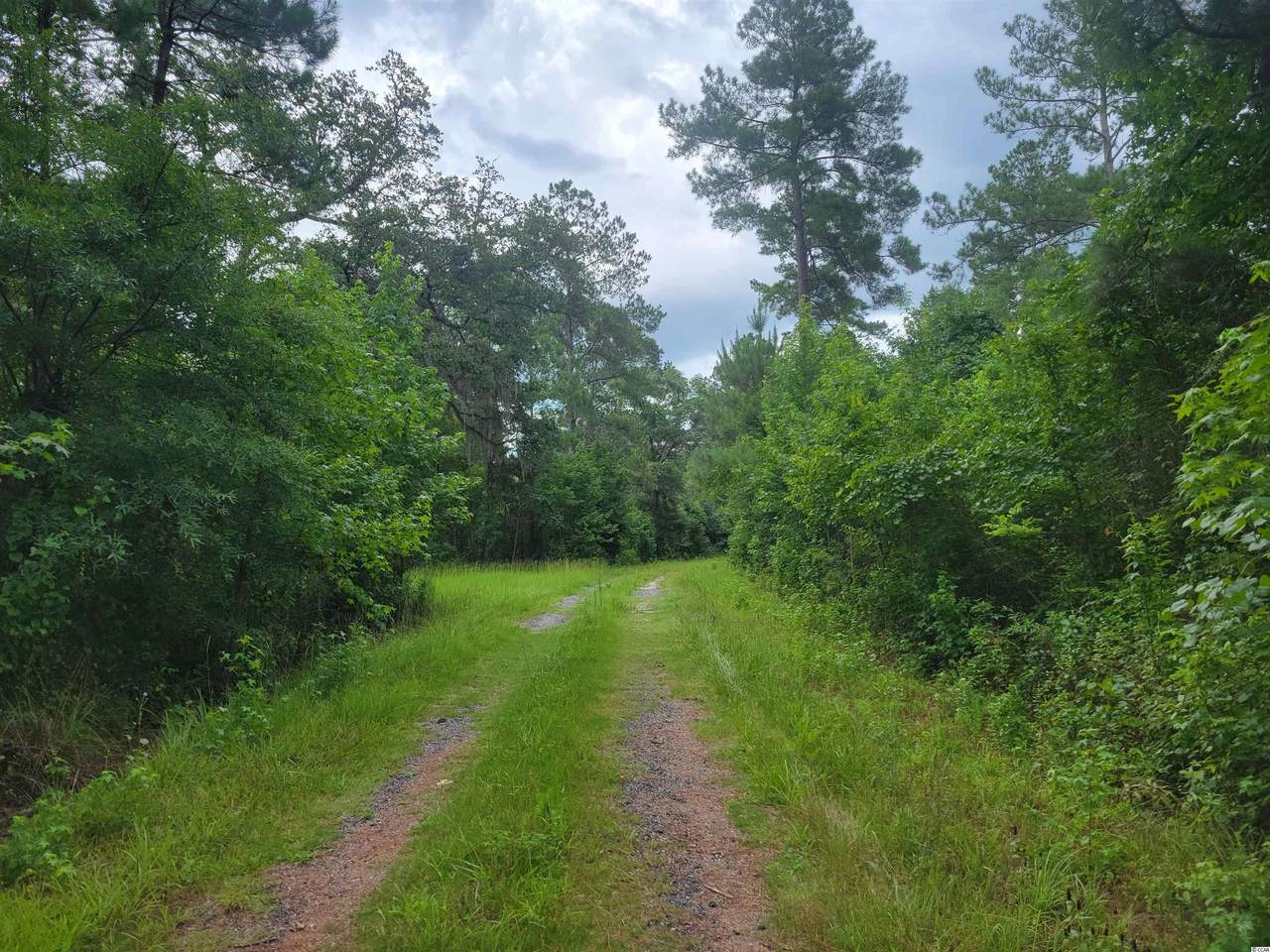 TBD Thomas Rd. - Photo 1