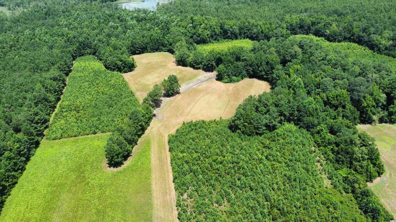 TBD Green Sea Rd. - Photo 1