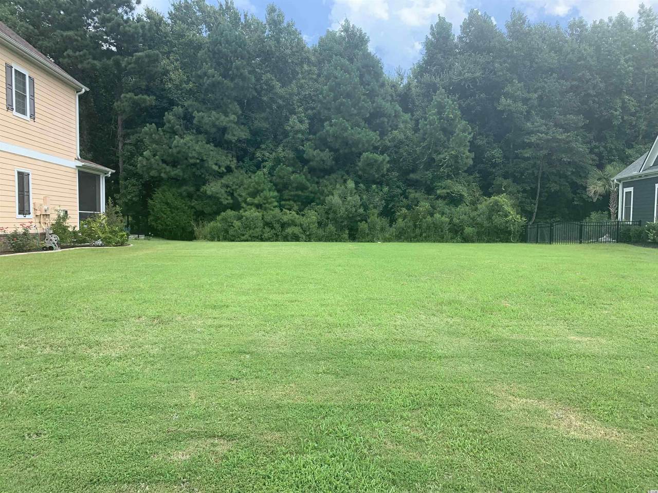 1086 East Isle Of Palms Ave. - Photo 1