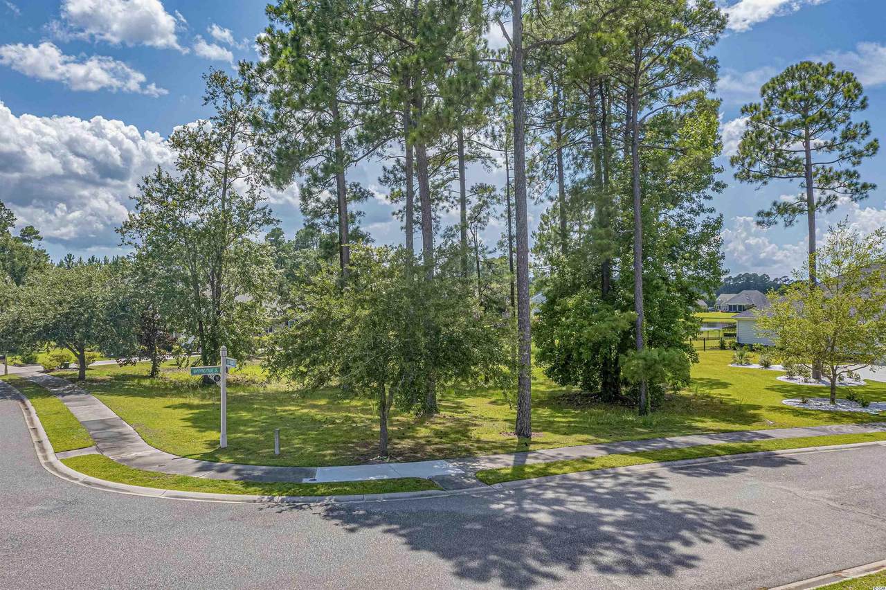 1404 Whooping Crane Dr. - Photo 1