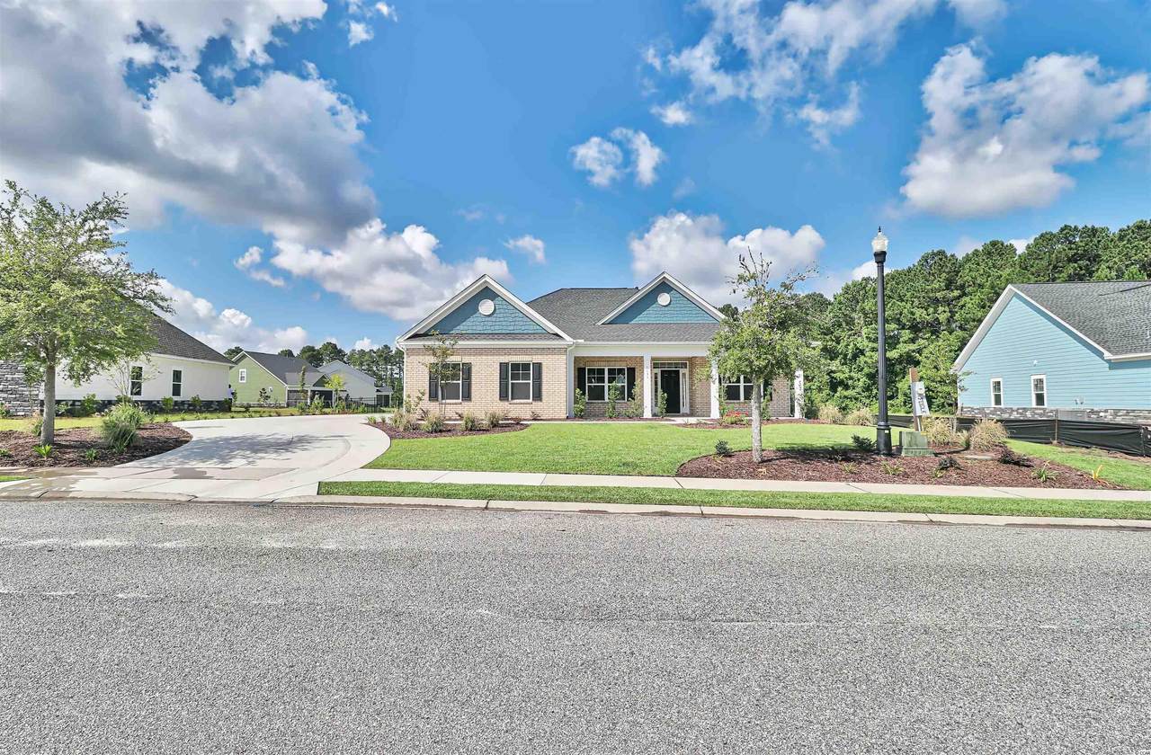 1033 Dowitcher Dr. - Photo 1