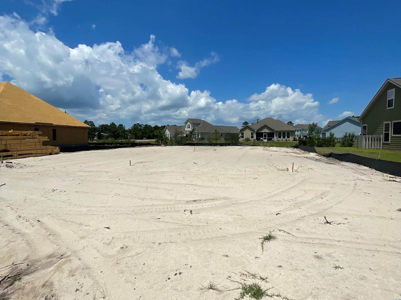 163 Sago Palm Dr. - Photo 1