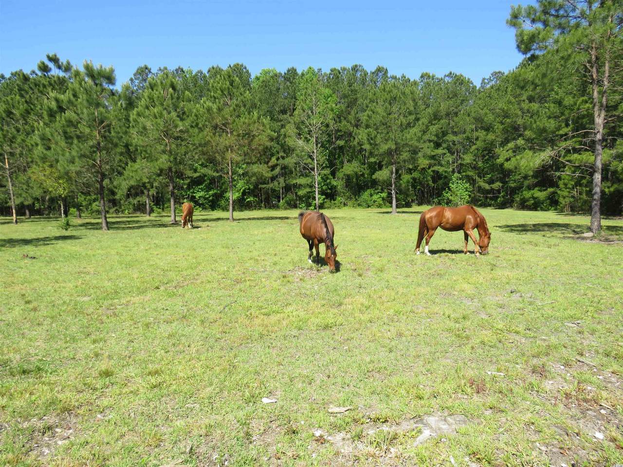 4017 Thomas Rd. - Photo 1