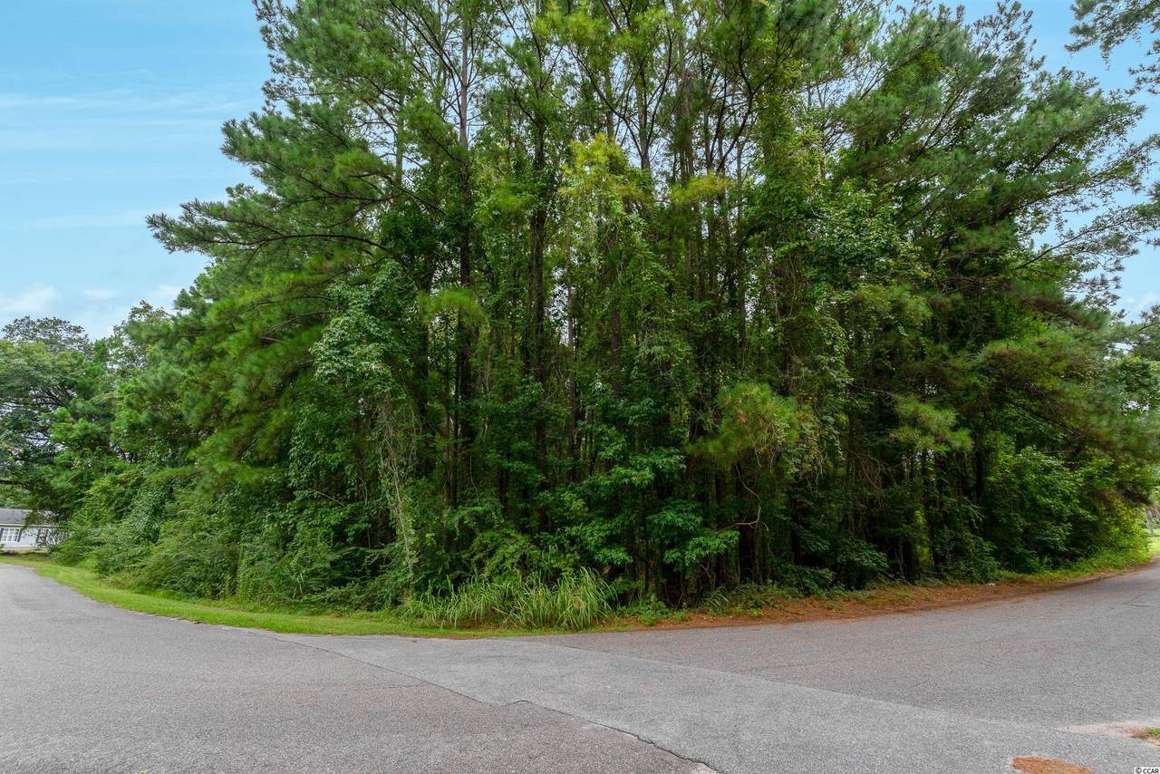 Tract B Wee Nee Dr. - Photo 1