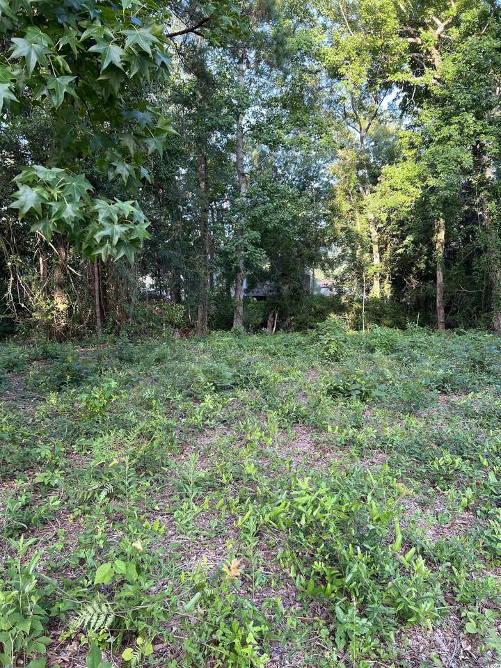 1861 Thorp Landing Rd. - Photo 1