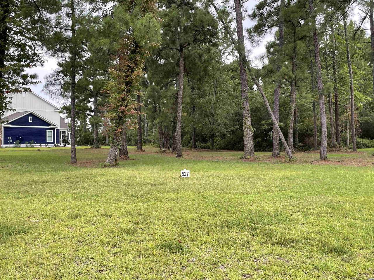1700 Singing Rose Dr. - Photo 1