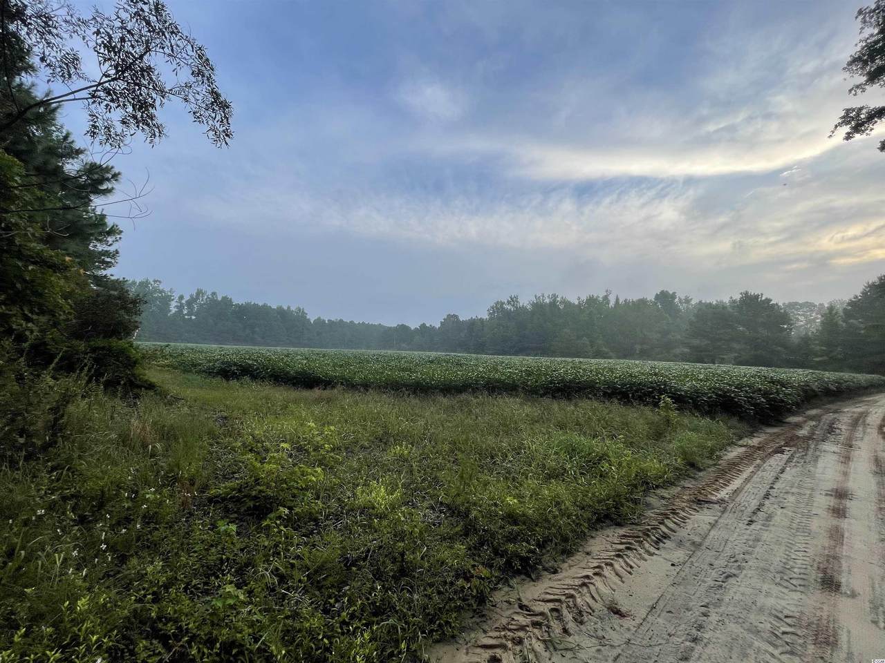 Jack rogers Zion Rd. - Photo 1