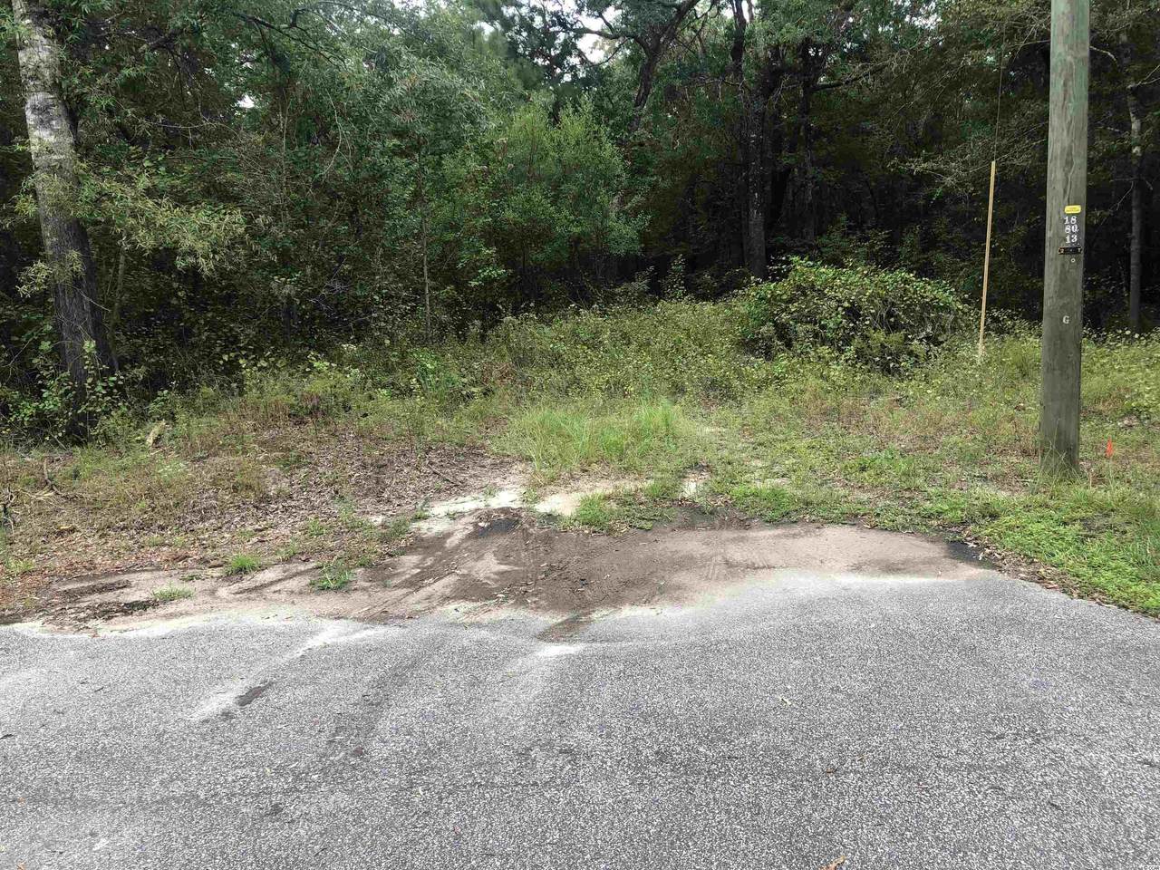 TBD Waccamaw River Dr. - Photo 1