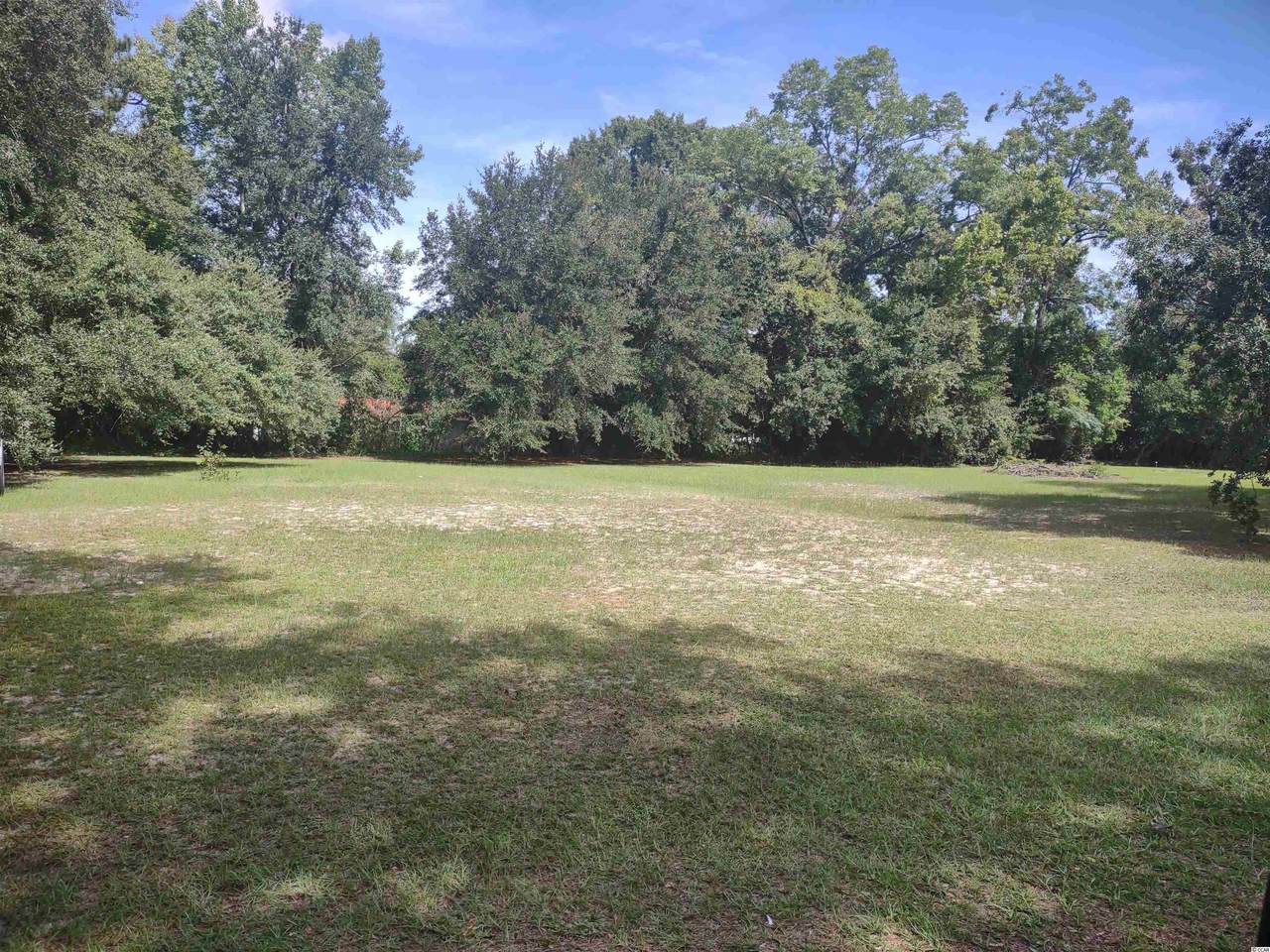 239 Pine Ave. - Photo 1