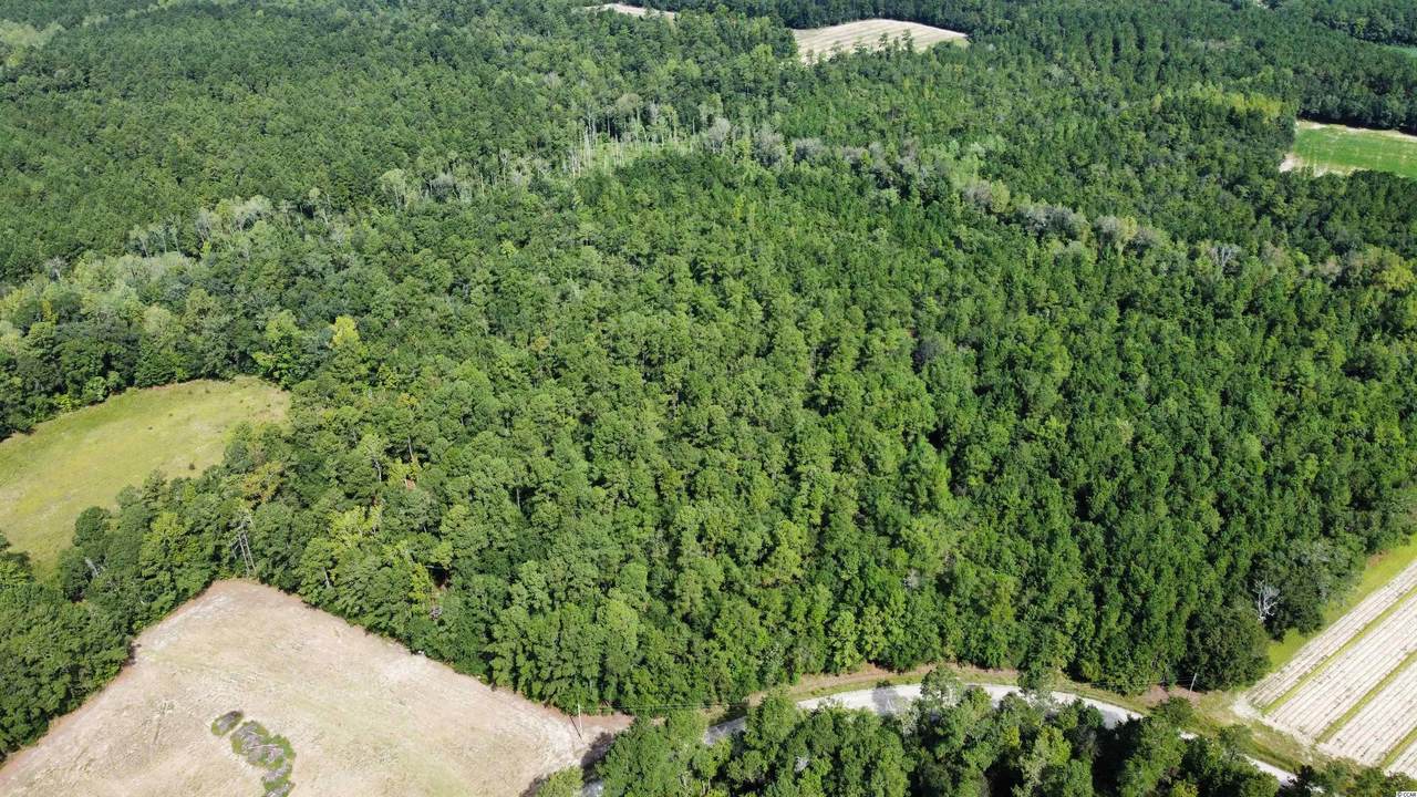 TBD Sand Hill Bay Rd. - Photo 1