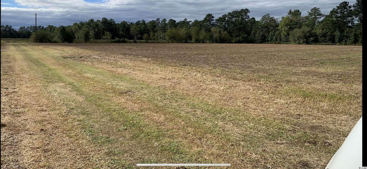 3.63 Acres Nichols Hwy. - Photo 1