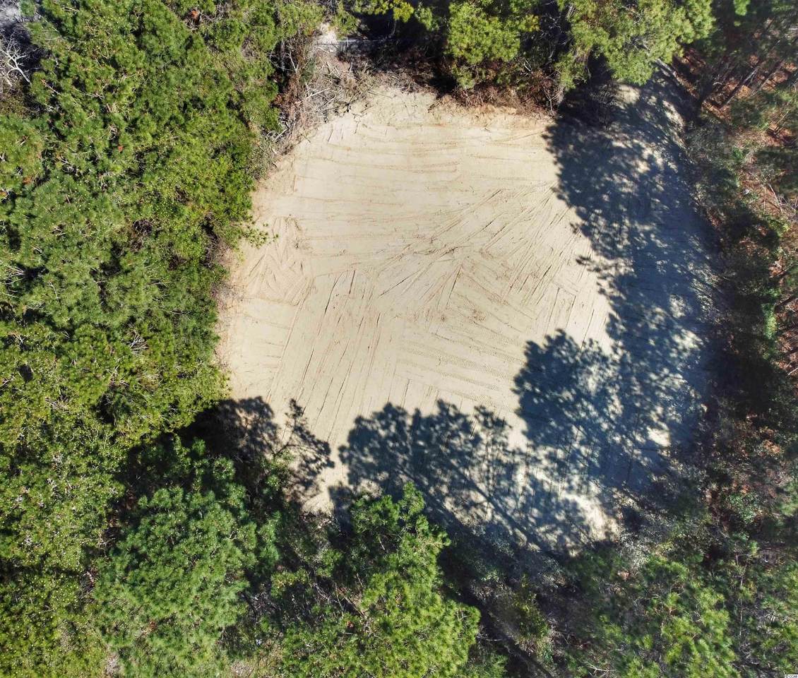 TBD Black Gum Rd. - Photo 1