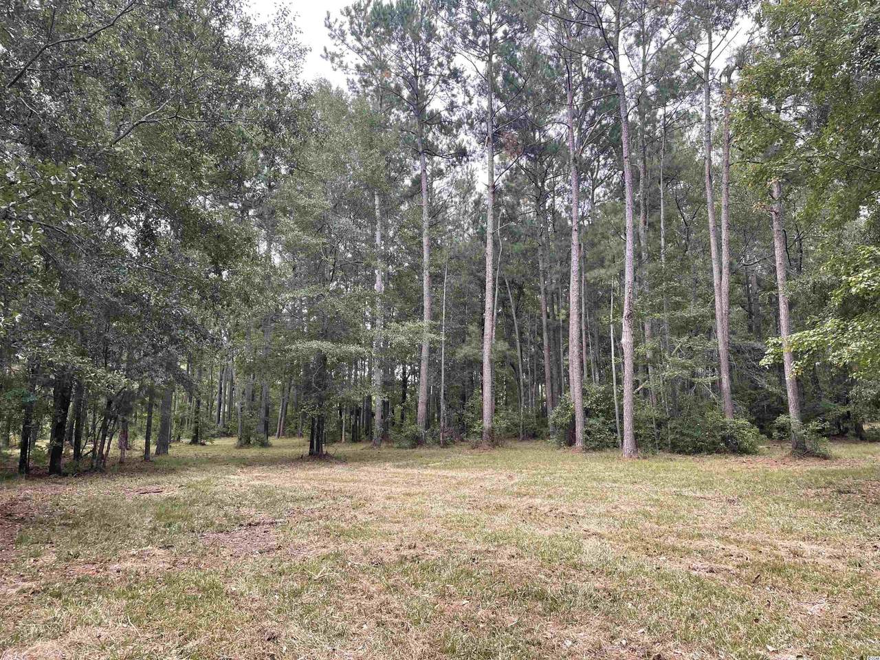 215 Nesmith Corner Rd. - Photo 1