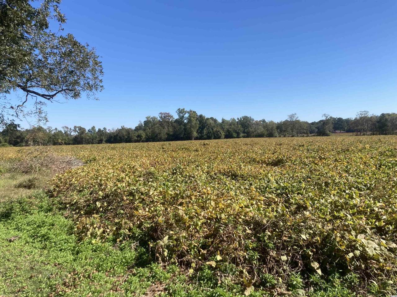 TBD Tract C Bethel Rd. - Photo 1