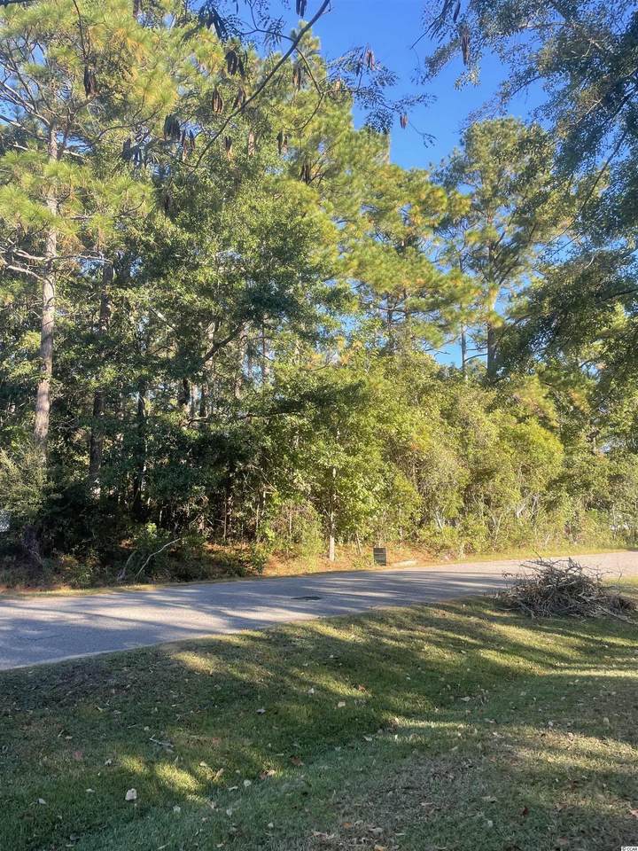 286 George Washington Trail - Photo 1