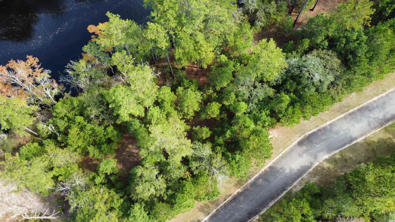 309 Cypress Flat Ct. - Photo 1