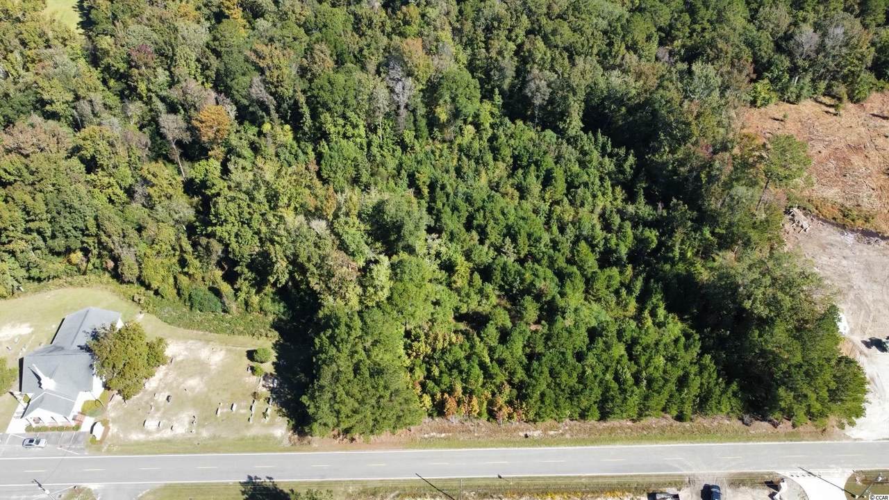 TBD 5.59 AC Pauley Swamp Rd. - Photo 1